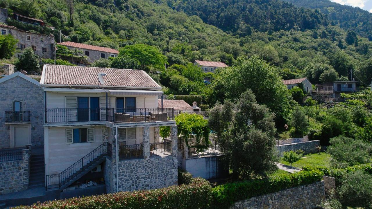 Villa Dub Kotor Eksteriør bilde